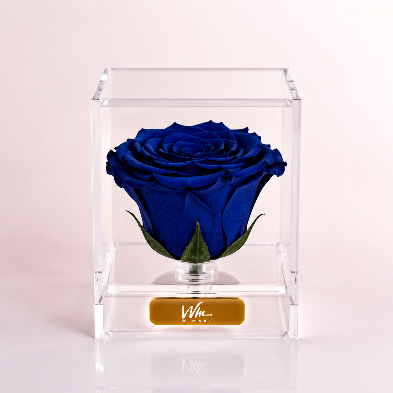 Sapphire (Rosa Preservada)