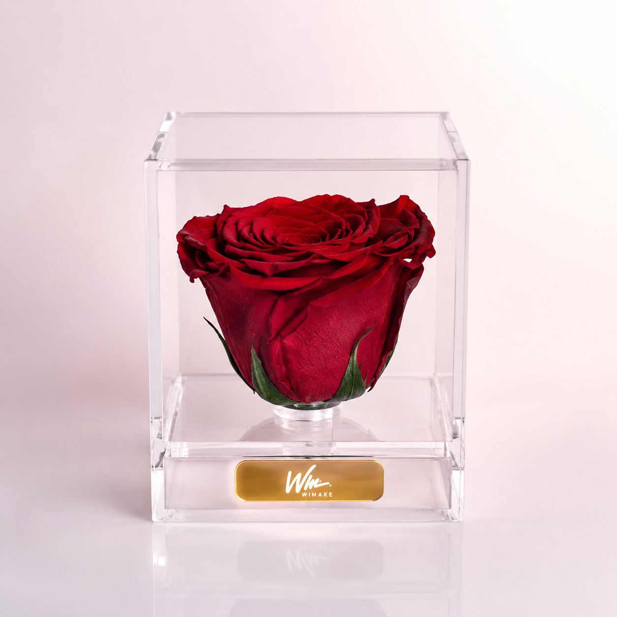 Scarlet (Rosa Preservada)