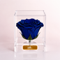 Sapphire (Rosa Preservada)