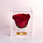 Scarlet (Rosa Preservada)