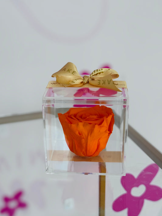 Preserved Rose Orange