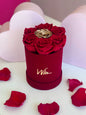 Golden One Valentines Edition