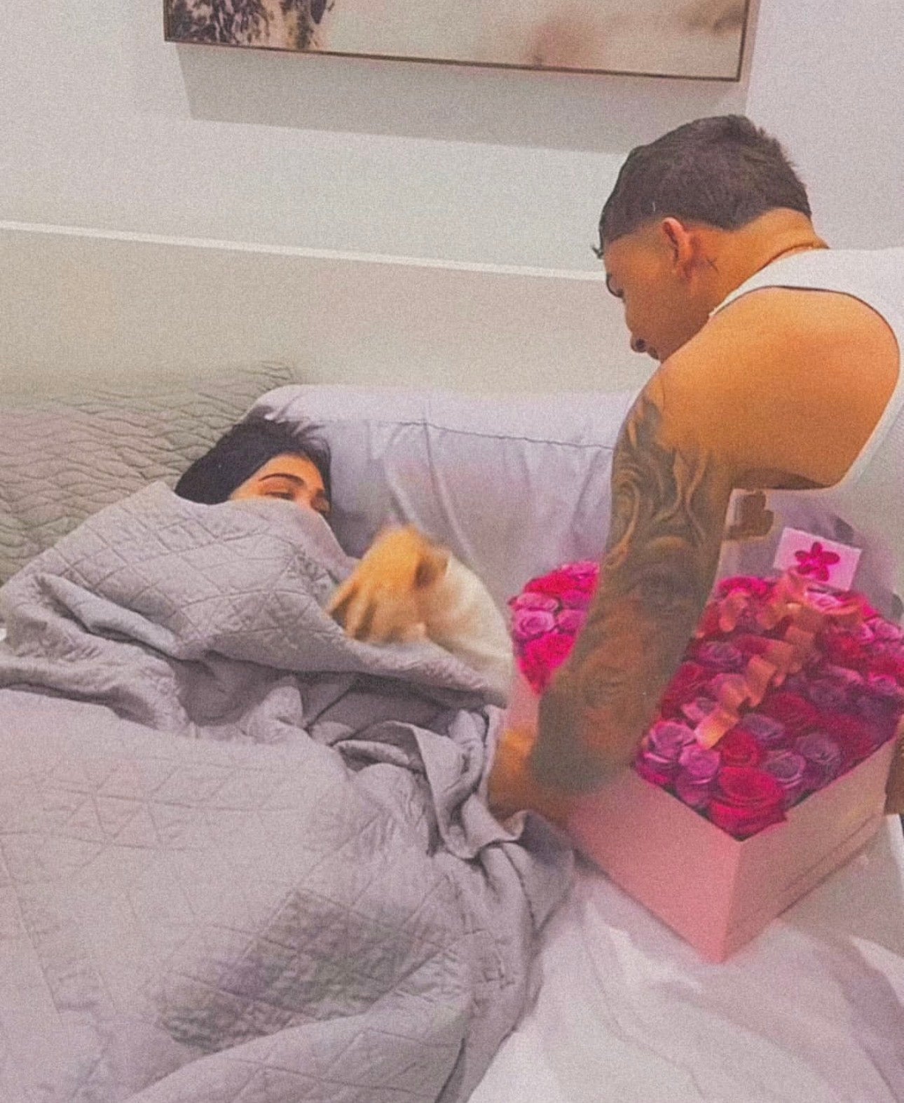 Dani Love Valentines Edition