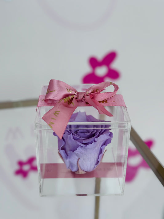 Preserved Rose Lilac