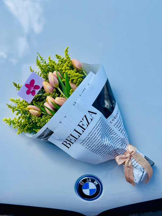 Belleza Tulips