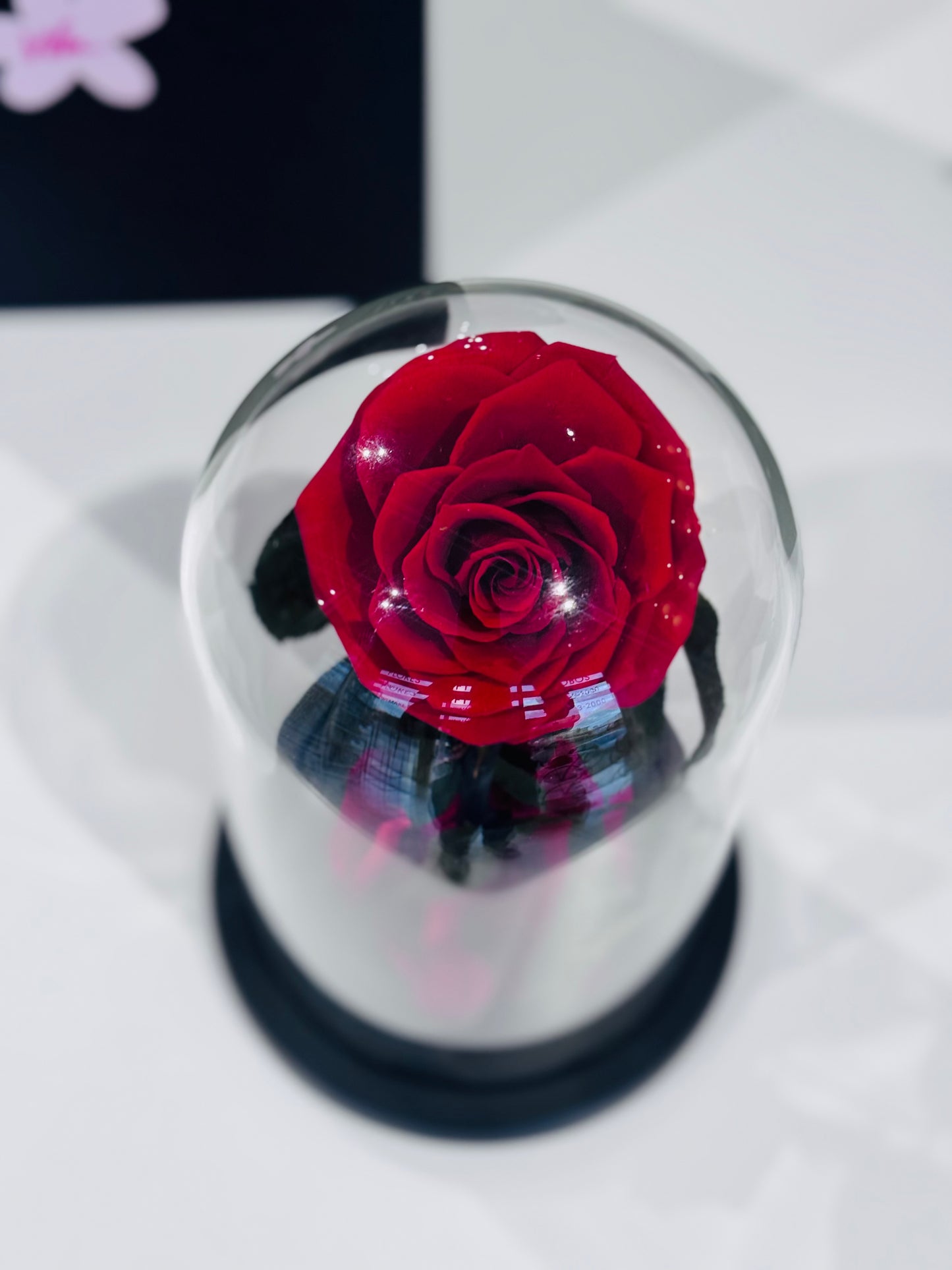 Beauty Red