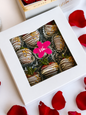 Fresas con Chocolate 9 pieces